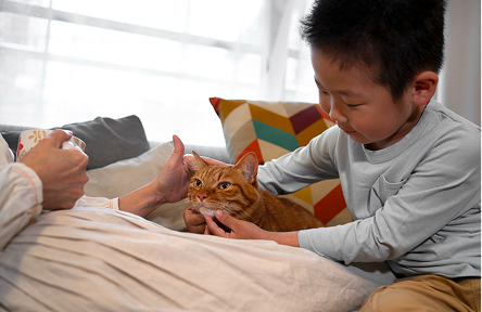 ふれあいの写真