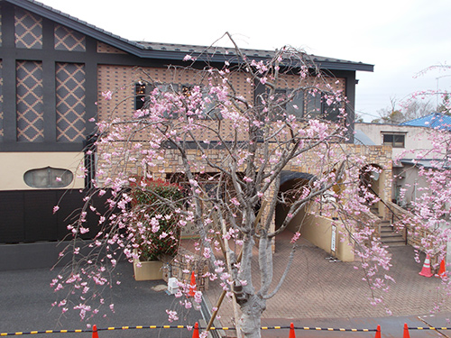 慈恵院_本堂建設_2022年3月-13