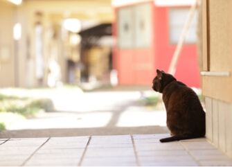 慈恵院が選ばれ続ける8つの理由：いつでも