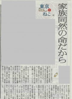 慈恵院 メディア掲載 読売新聞朝刊・平成29年1月10日