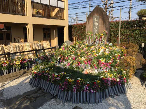 慈恵院の春のお彼岸法要の献花