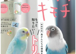 慈恵院 メディア掲載 学研ムック 小鳥のキモチ vol.5-1