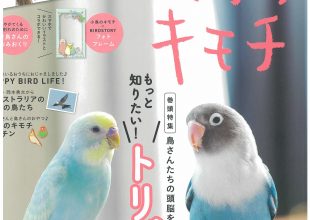 慈恵院 メディア掲載 学研ムック 小鳥のキモチ vol.5-1