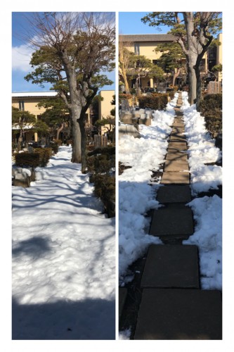 慈恵院の除雪