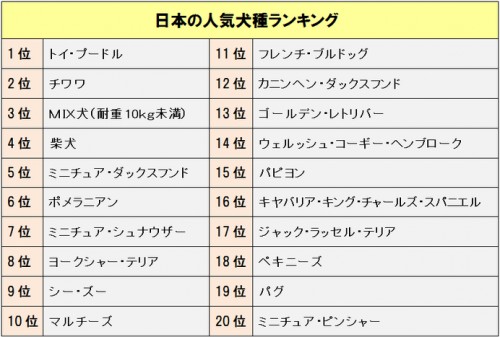 日本の人気犬種ランキング