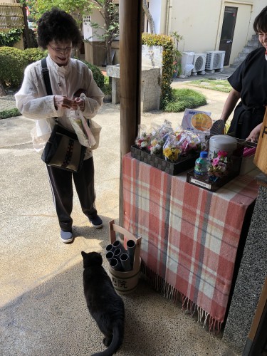 慈恵院の猫のクロママ