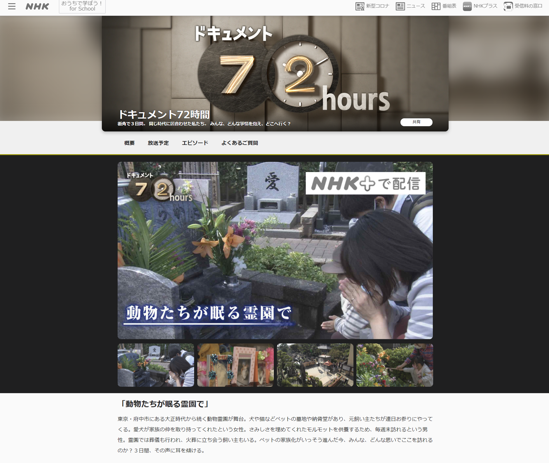 Nhk ドキュメント72時間 再放送のご案内 慈恵院 付属多摩犬猫霊園 Nhk ドキュメント72時間 再放送のご案内 慈恵院 付属多摩犬猫霊園