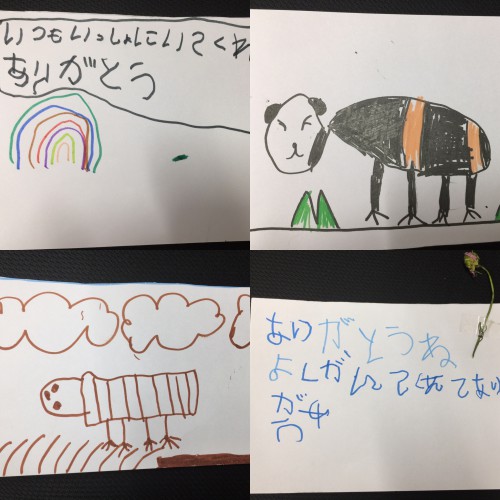 谷戸幼稚園のモルモット「いのくん」への手紙