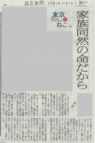 慈恵院について掲載された読売新聞の記事