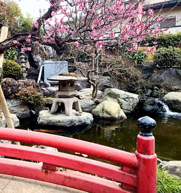 令和4年 府中本山・池の上にかかる梅