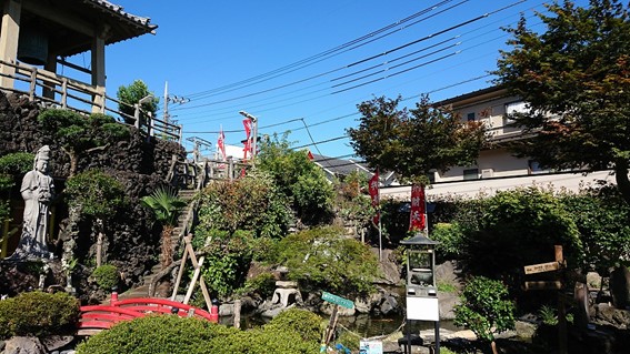 慈恵院・府中本山 令和4年夏の木々-4