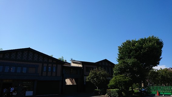 慈恵院・府中本山 令和4年夏の木々-1