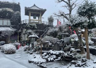 令和5年2月10日 府中本山 雪化粧-1