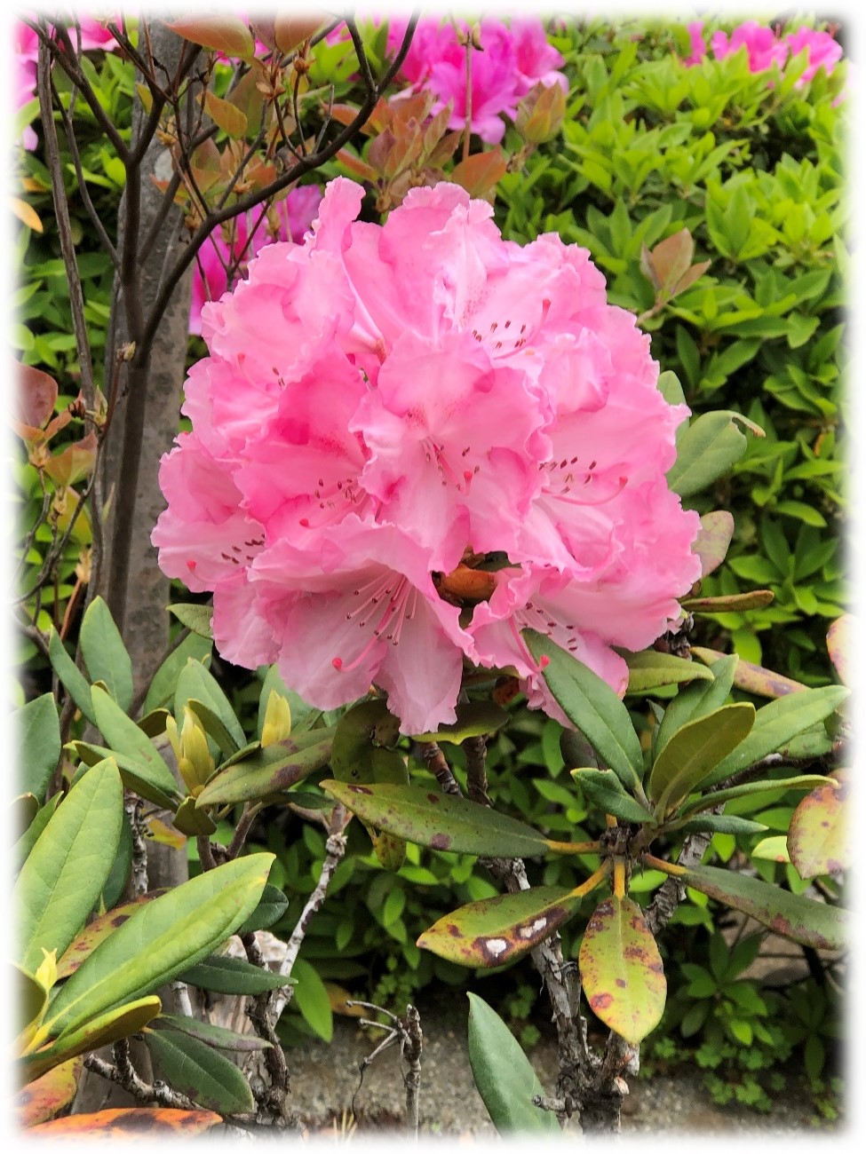 29d3bc99193cb0b837fb8cc53f050a