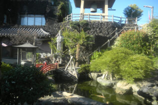 慈恵院 府中本山 令和5年9月池清掃-5