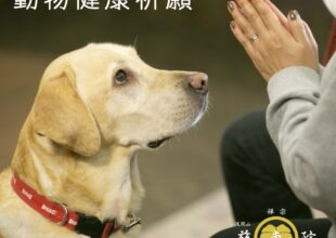 Sippo Festa2023秋(しっぽフェスタ) 動物健康祈願