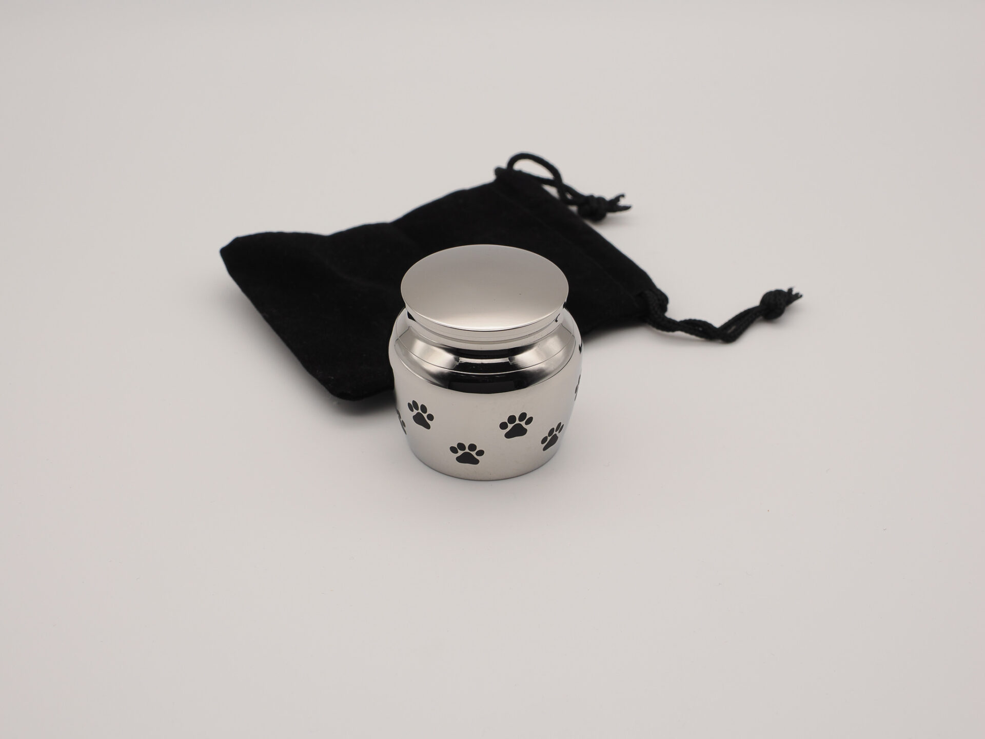 高品質★ボブキャットの頭骨　12ｃｍ 高品質☆ボブキャットの頭骨 12cm