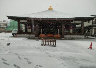 慈恵院 府中本山 2年ぶりの大雪-2