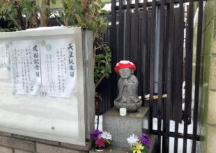 慈恵院 雪と雷と足立別院-2